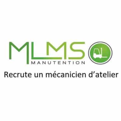 Logo MLMS
